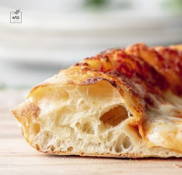 artisan pizza dough - crispy, chewy, bubbly crust